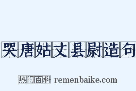 哭唐姑丈县尉造句是什么意思的图片